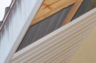 rated Globe Town soffit repair companies